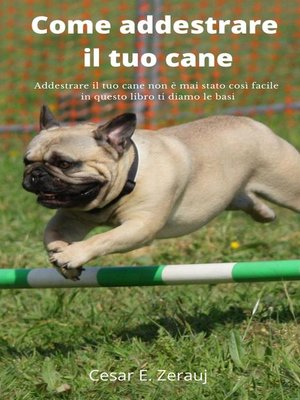 cover image of Come addestrare il tuo cane   Addestrare il tuo cane non è mai stato così facile in questo libro ti diamo le basi